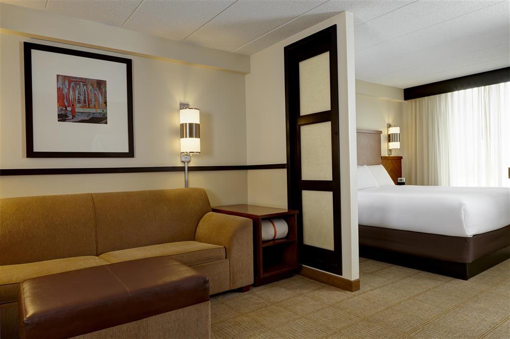 Hyatt Place Atlanta/Cobb Galleria Smyrna Kamer foto